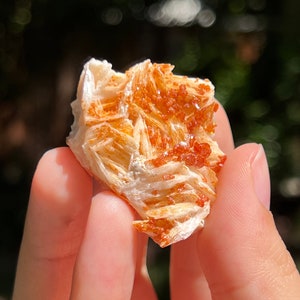 Vanadinite on Barite Specimen (A), 1.68” | 50 grams | Vanadinite and Barite Crystal