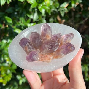 ONE (1) Amethyst Root | Raw Amethyst | Mini Amethyst