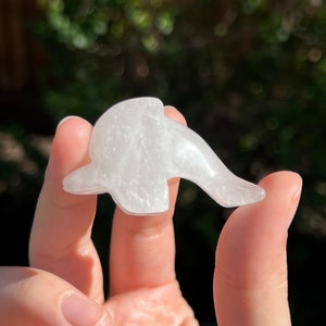 May include: A small, translucent white dolphin figurine. The dolphin is carved from a solid material and has a smooth, polished appearance. The figurine is held in a person's hand, with a blurred green background.