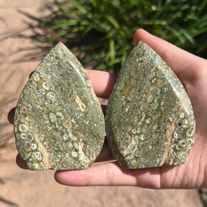 Rainforest Jasper Flames, You Choose! | Rhyolite Flames | Rhyolite Freeforms | Rainforest Jasper Freeforms