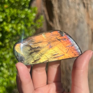 May include: A polished labradorite gemstone with a vibrant display of colors. The stone features a mix of orange, yellow, and purple hues, with streaks of black. The gemstone is held in a hand, showcasing its iridescent surface and natural beauty.