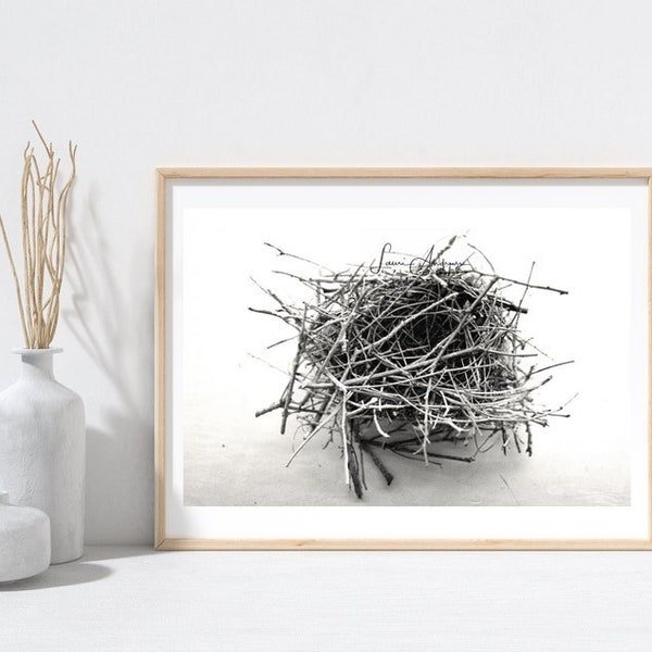 Bird Nest Art Etsy