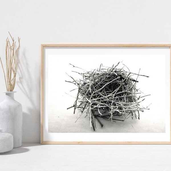 Bird Nest Print, Fine Art Photography, Black and White Photo, Nature Gift, Home Decor, Wall Art