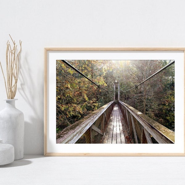 Old Florida, Fine Art Photography, Ravine Gardens, Suspension Bridge, State Parks, Home Decor Photography, Nature