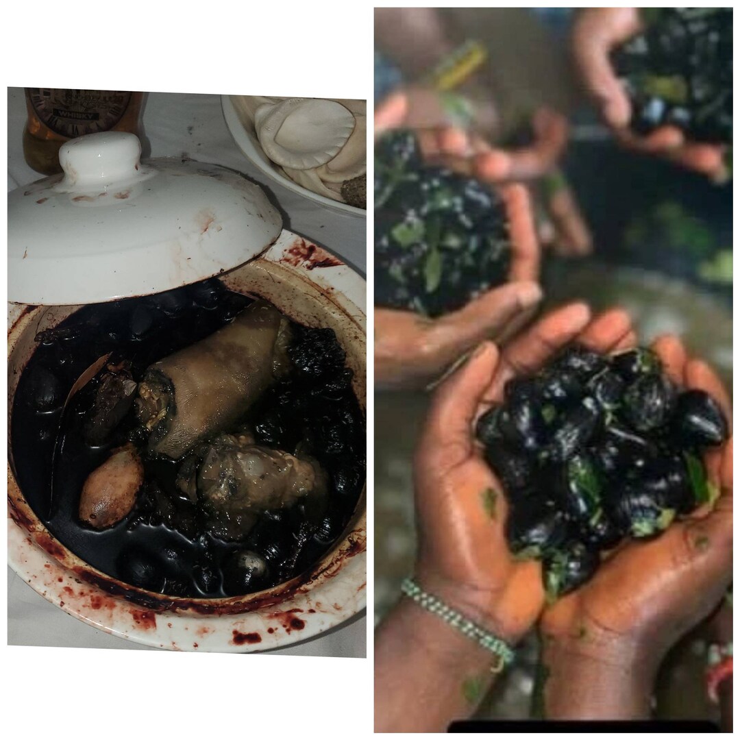 ISEFA Initiation IFA Yoruba IFA Initiations Babalawo Etsy