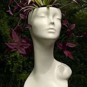 Upcycled Mannequin Head Planter with Spider Plant – Pearl White Salon Decor