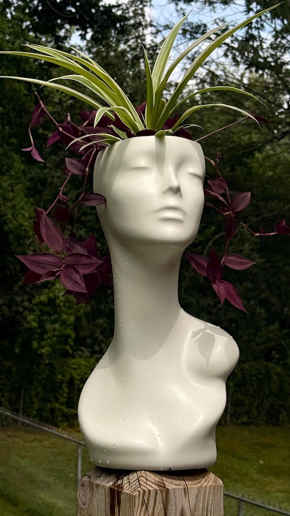 Upcycled Mannequin Head Planter with Spider Plant – Pearl White Salon Decor