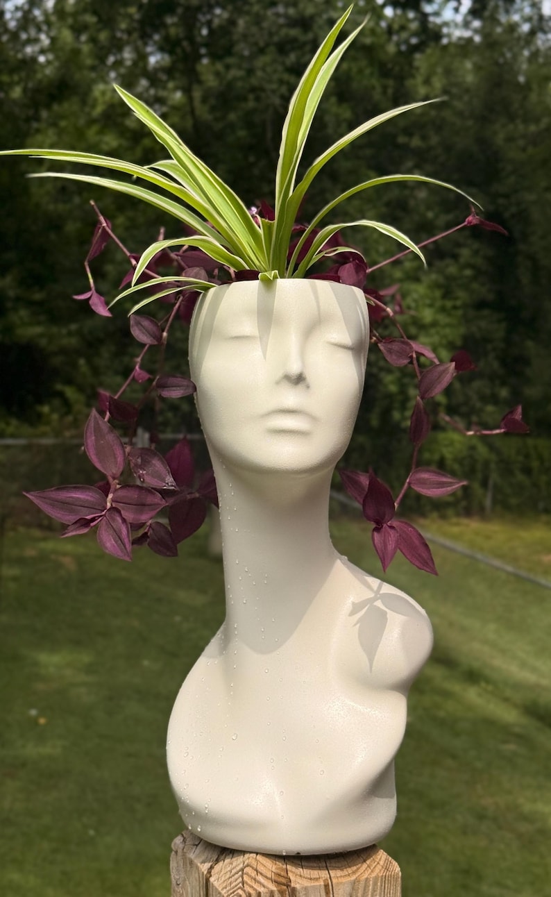 pearl white planter looking like a lady’s bust, plastic with transcending pothos and spider planter eclectic vase home Upcycled planter