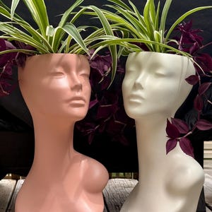 pearl white planter and soft baby pink in color, looking like a lady’s bust, plastic with transcending pothos and spider planter eclectic vase home Upcycled planter