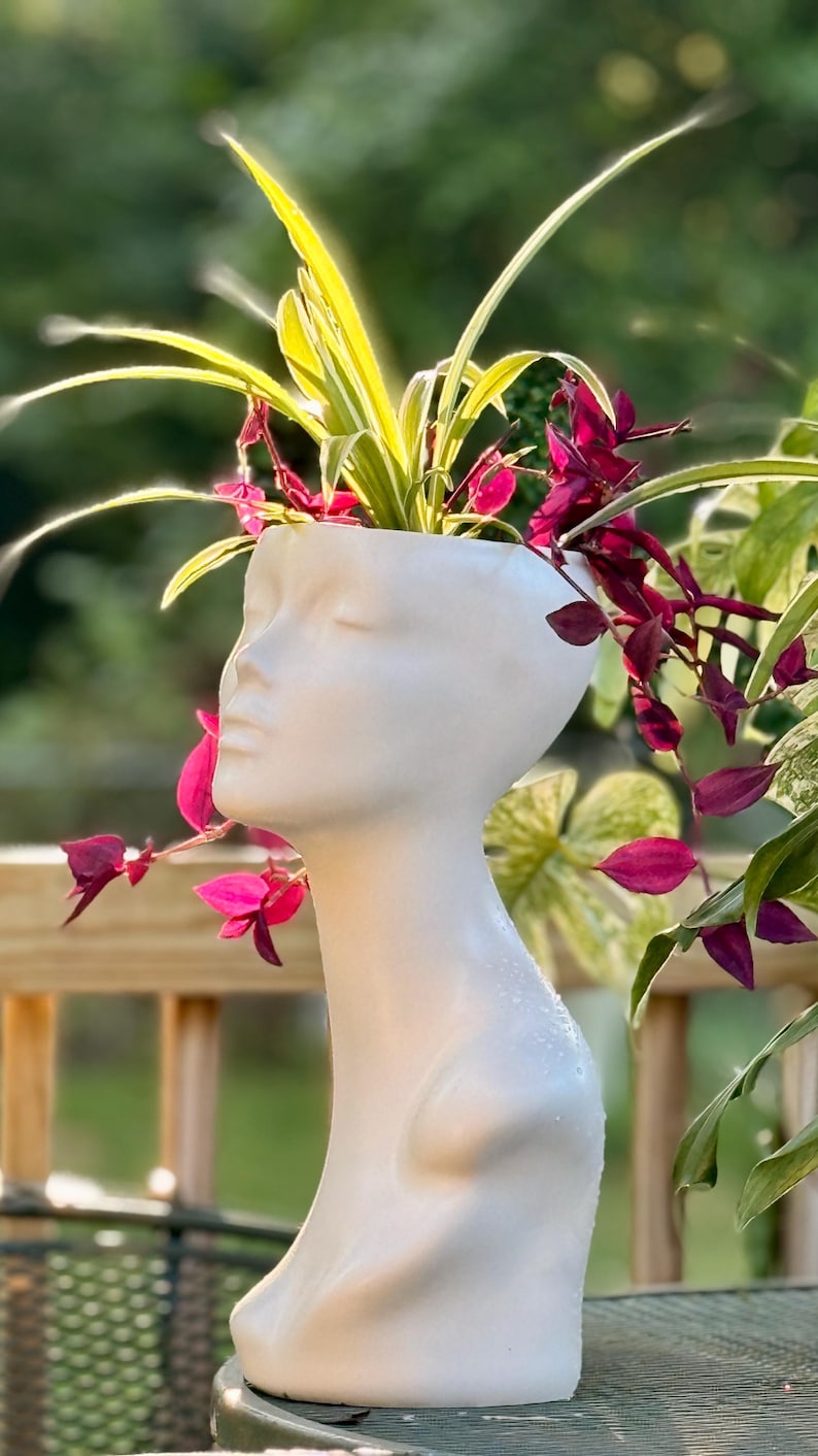 taken at sunset, sun glowing through plant leaves. pearl white planter looking like a lady’s bust, plastic with transcending pothos and spider planter eclectic vase home Upcycled planter