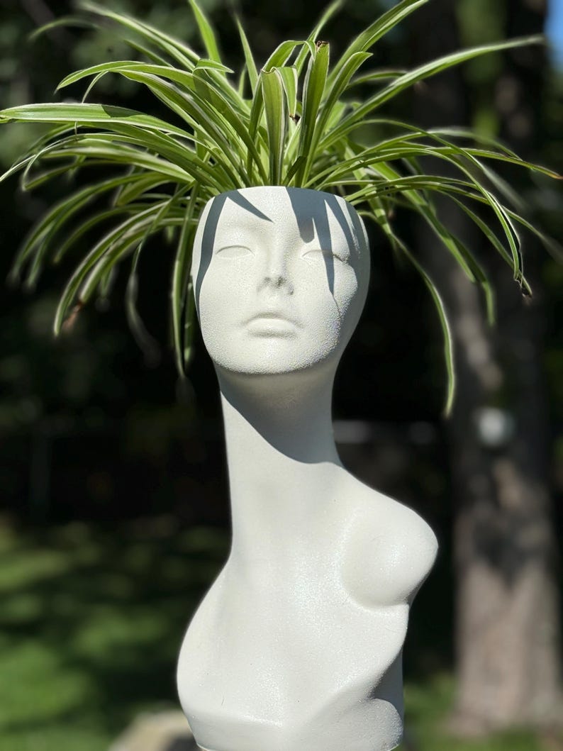 A white planter shaped like a bust with a plant growing out of the top. The plant has long, green leaves with white stripes.