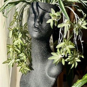 May include: A black bust planter with a textured surface, filled with green and white striped spider plants. The bust is a stylized female form, with the plants cascading around the head and shoulders, creating a unique decorative piece.