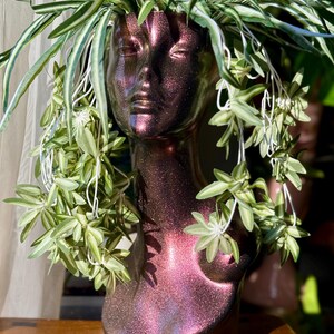 May include: A decorative bust planter with a metallic, iridescent finish in shades of purple and bronze. The bust is filled with green and white variegated plants, creating a unique and artistic display. The planter has a feminine form.