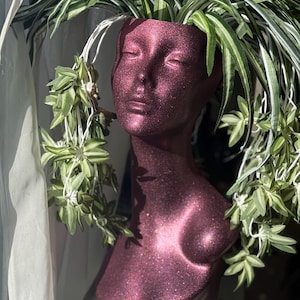 May include: A burgundy glitter bust planter with a serene face, filled with green and white spider plants. The bust is a decorative item, perfect for displaying small plants. The planter is a unique piece for home decor.