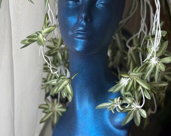 Goddess Head Face Planter - Unique  BLACK & BLUE - Comes with Spider Plant