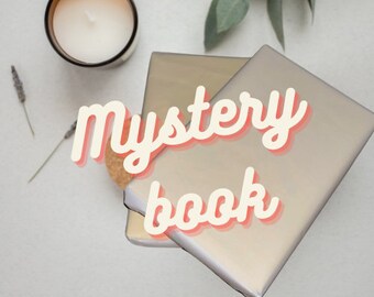 Libro misterioso / Cita a ciegas con un libro / Regalos para amantes de los libros pre-amados / Regalos ecológicos para los amantes de los libros / Libro sorpresa