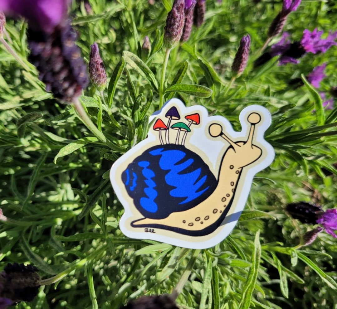 Snail Sticker - Etsy