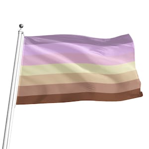 They-Them Lesbian Pride Flag - 5 sizes Top Quality LGBTQ+ Pride Flag ideal for pride marches flagpoles, wall hanging, Free Shipping
