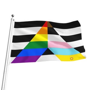 包括的な LGBTQIA+ アライ プライド フラッグ 5 サイズ ストレート アライ レインボー プライド プライド マーチ 旗竿 壁掛けに最適 送料無料
