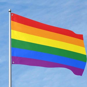 Gay Pride Flag, One Side Print with Grommets, 5 sizes, LGBTQ Pride Flag, Rainbow Pride, ideal for pride marches, wall hanging, Free Shipping