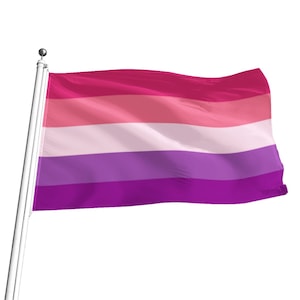 Aceflux Pride Flag, 5 sizes, LGBTQ+ Pride Flag, ideal for pride marches, flagpoles, wall hanging, Free Worldwide Shipping