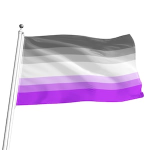 Ace Curious Pride Flag, 5 sizes, Acespec Flag, ideal for pride marches, flagpoles, wall hanging, Free Worldwide Shipping