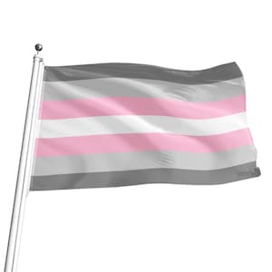 Demigirl Pride Flag, 5 sizes, LGBTQ+ Pride Flag, ideal for pride marches, flagpoles, wall hanging, Free Worldwide Shipping