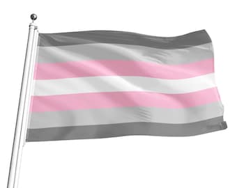 Puede incluir: Una bandera del orgullo transgénero ondeando al viento. La bandera tiene cinco franjas horizontales: dos grises, una blanca y dos rosas.