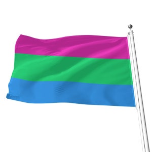 Polysexual Pride Flag, 5 Sizes, LGBT Pride Flag, Ideal for Pride ...