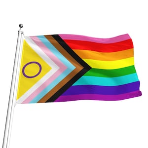 Inclusive Rainbow Pride Flag LGBTQIA+ BLM inclusive Pride Flag ideal for pride marches, flagpoles wall hanging includes original pink stripe