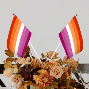 Set of 6 Small Lesbian Flags with Stick | 8.3&quot;x5.5&quot; | 21x14cm | Ideal for Pride Marches, Decoration, Team Activities for Sapphic WLW Lesbian