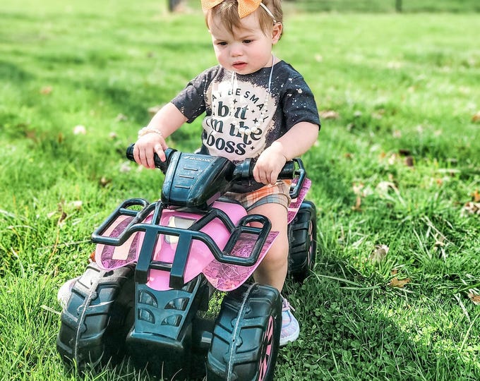 I may be small but I’m the boss Shirt, May be Small Shirt, Toddler Shirt, Shirt for Kids,