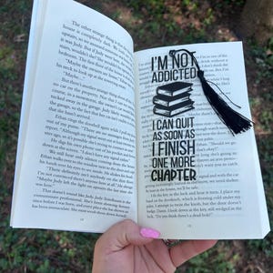 Book Lover Bookmark: Acrylic Bookmark with Tassel, Bookish Gift