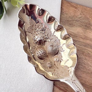 Puede incluir: Una cuchara de servir plateada con un diseño floral y frutal ornamentado. La cuchara presenta un grabado detallado de uvas, una piña y otros elementos botánicos. Tiene un borde festoneado y un mango decorativo.