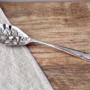 May include: A silver-toned serving spoon featuring an embossed bowl with a detailed pattern of leaves, grapes, and acorns. The handle has a decorative beaded border and a smooth, plain centre section, extending into a tapered, rounded end.