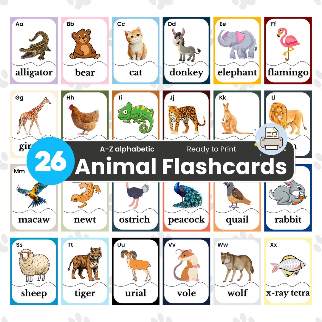 26 Animal Alphabet Flashcards: Educational Printable Cards (PDF) - Etsy