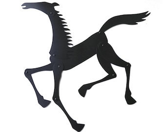 Shadow Magnets Cavallo