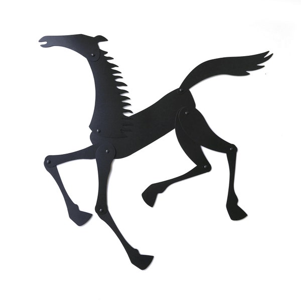 Shadow Magnets Cavallo