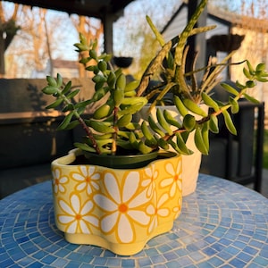 May include: A yellow ceramic planter with a daisy pattern holds a succulent plant. The planter sits on a blue mosaic table, with another plant in a white pot in the background. The scene is lit by warm sunlight.