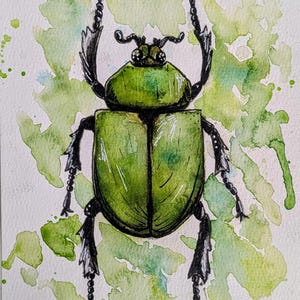 6x8 helle Insekten Aquarelldrucke