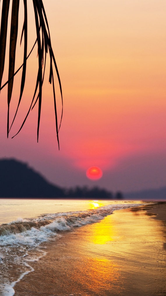 Home 2024 screen wallpaper