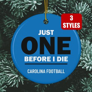 Carolina Panthers Christmas Ornament Funny Panthers Gift Tree Ornament Panthers Football Holiday Him Santa Present Panthers Before I Die