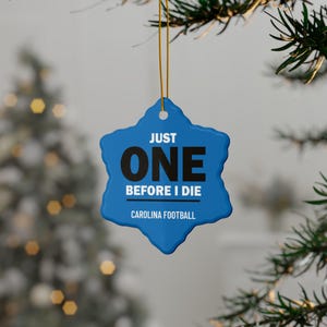 Carolina Panthers Tree Ornament Funny Panthers Gift for Christmas Ornament Panthers Football Holiday Santa Present Panthers Before I Die