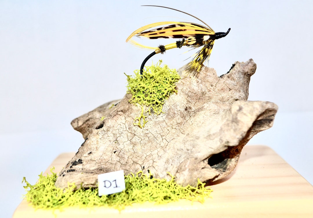 Salmon Fly Display Etsy