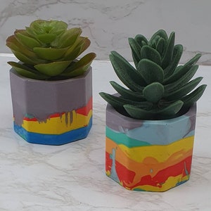 May include: Two hexagonal concrete planters with colourful paint designs. The planters are filled with artificial succulents. The planter on the left is grey with yellow, orange, and blue paint. The planter on the right is grey with green, blue, yellow, orange, and red paint.