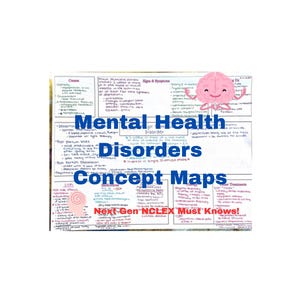 Mental Health Concept Maps | Nursing School