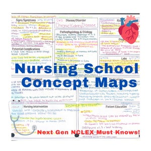 Nursing School Concept Maps: 37 Completed Study Guides (Digital Download)