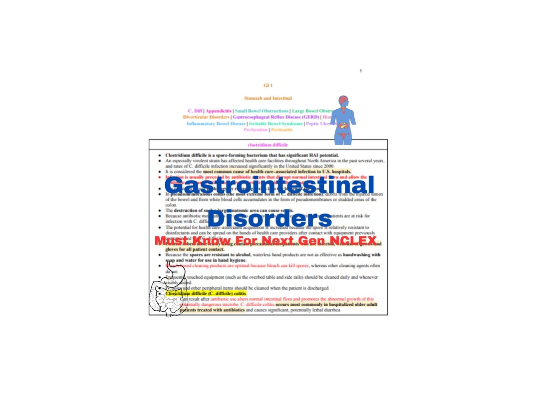 109 Pages of GI Notes - Etsy