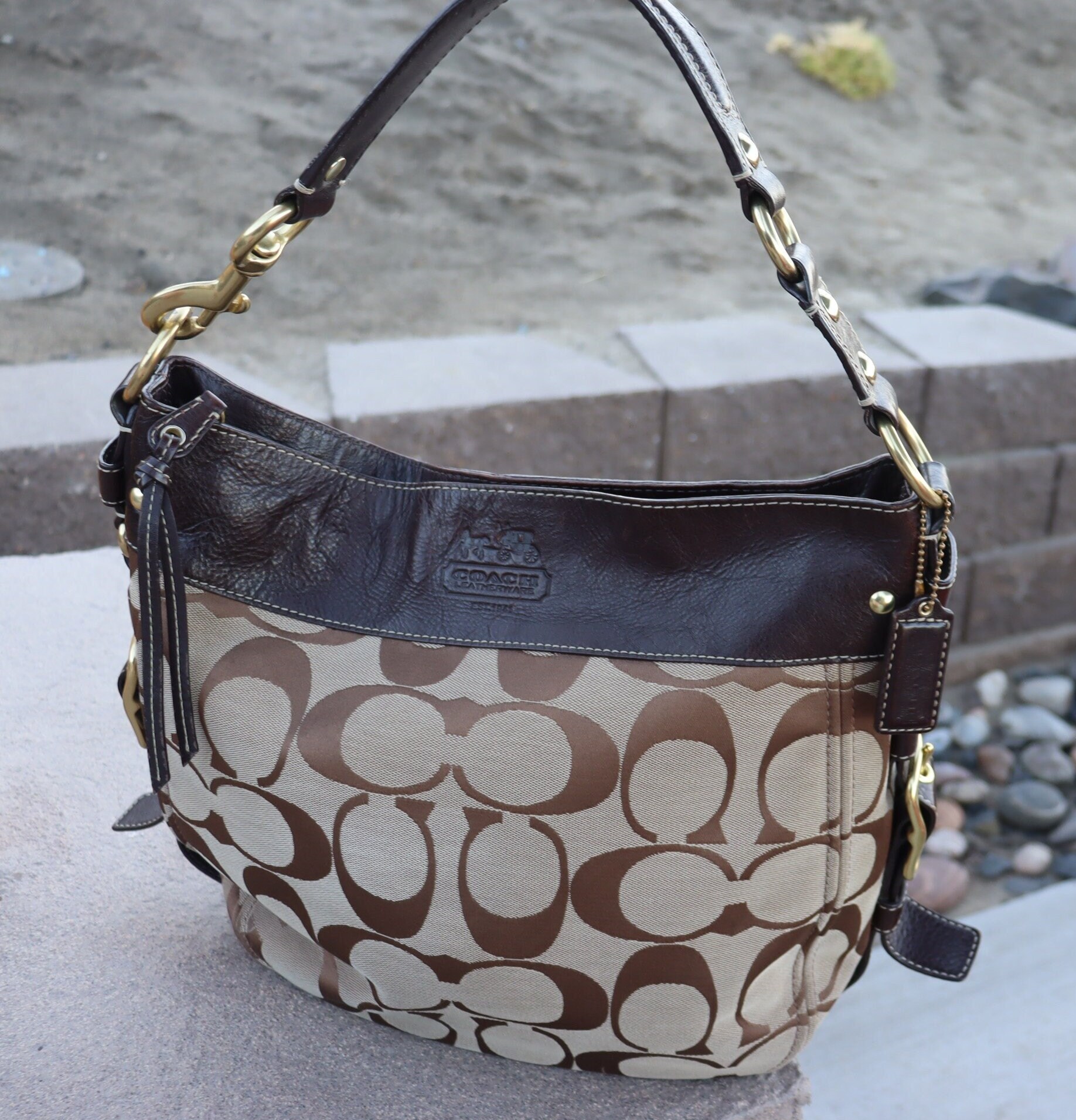 coach zoe hobo bag