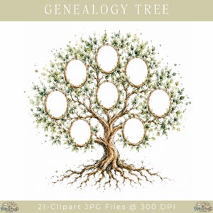 Peut inclure: Une illustration style aquarelle d'un arbre au tronc brun et aux feuilles vertes, comportant sept cadres ovales vides intégrés dans les branches. Le texte GENEALOGY TREE apparaît en haut, et 21-CLIPART JPG FILES @ 300 DPI en bas.